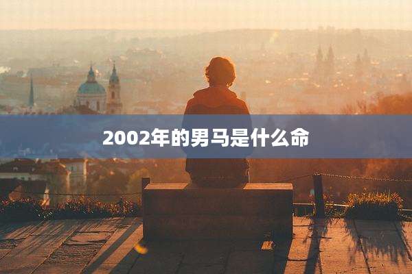 2002年的男马是什么命