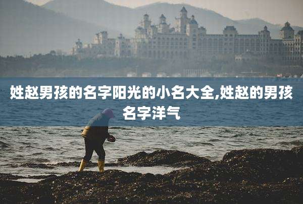 姓赵男孩的名字阳光的小名大全,姓赵的男孩名字洋气
