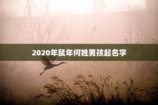 2020年鼠年何姓男孩起名字