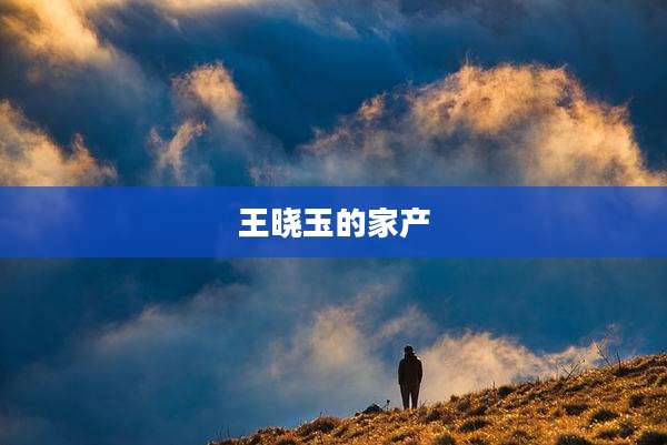 王晓玉的家产