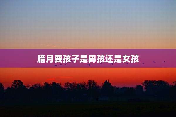 腊月要孩子是男孩还是女孩