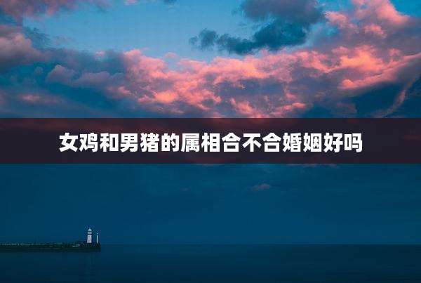 女鸡和男猪的属相合不合婚姻好吗