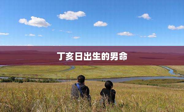 丁亥日出生的男命