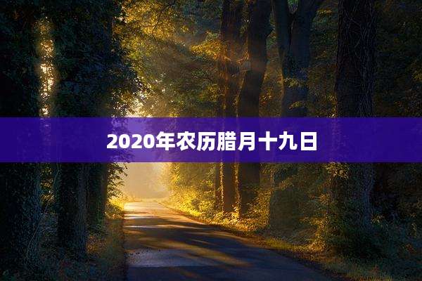 2020年农历腊月十九日