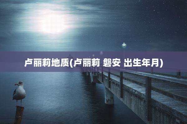 卢丽莉地质(卢丽莉 磐安 出生年月)