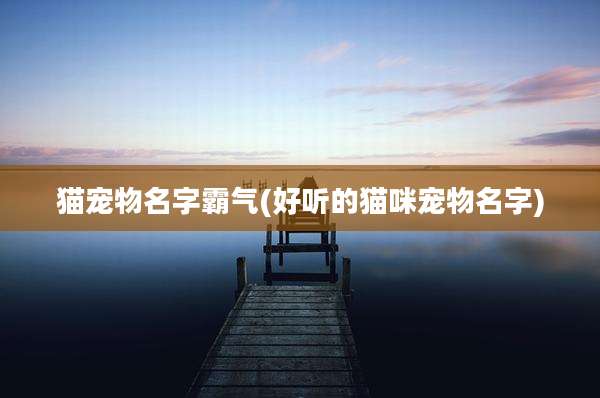 猫宠物名字霸气(好听的猫咪宠物名字)