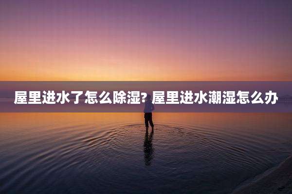 屋里进水了怎么除湿? 屋里进水潮湿怎么办