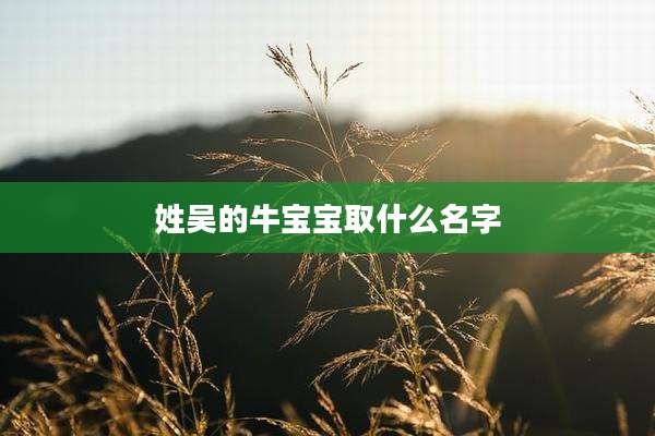 姓吴的牛宝宝取什么名字