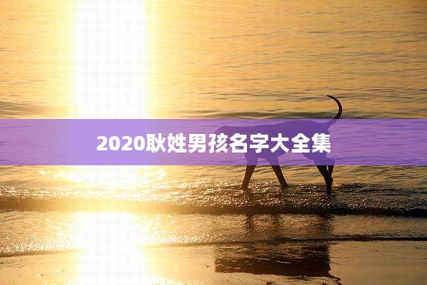 2020耿姓男孩名字大全集