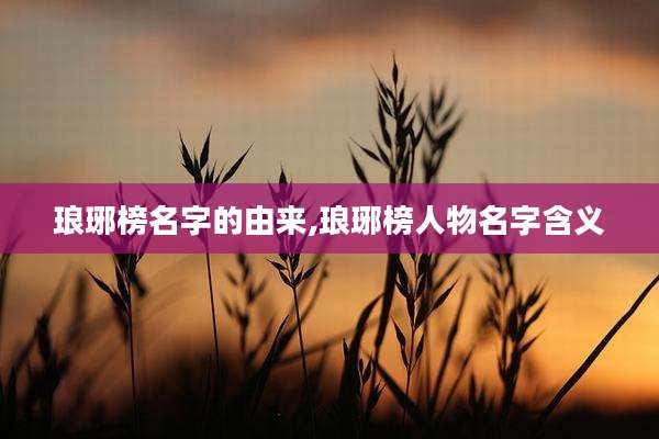 琅琊榜名字的由来,琅琊榜人物名字含义
