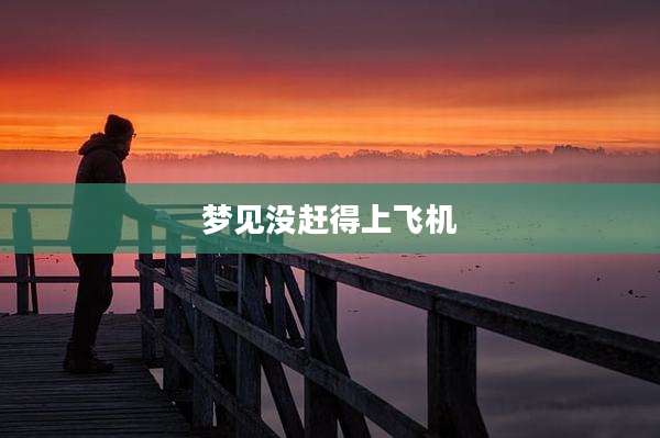 梦见没赶得上飞机