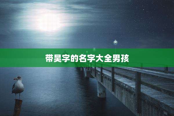 带昊字的名字大全男孩
