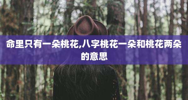 命里只有一朵桃花,八字桃花一朵和桃花两朵的意思