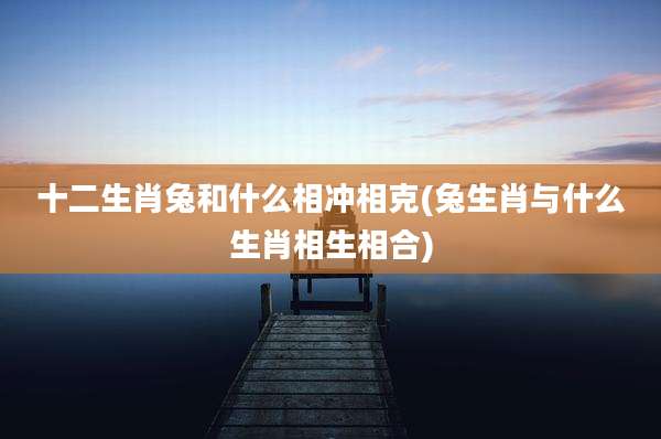 十二生肖兔和什么相冲相克(兔生肖与什么生肖相生相合)