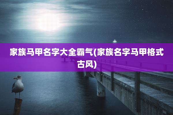 家族马甲名字大全霸气(家族名字马甲格式古风)