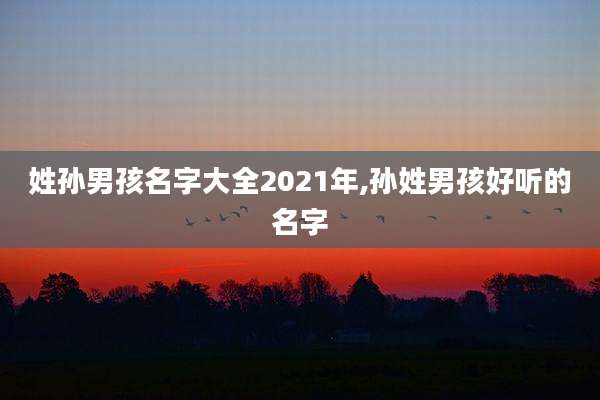 姓孙男孩名字大全2021年,孙姓男孩好听的名字