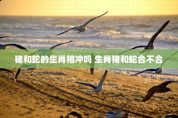 猪和蛇的生肖相冲吗 生肖猪和蛇合不合