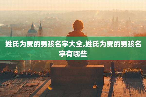 姓氏为贾的男孩名字大全,姓氏为贾的男孩名字有哪些