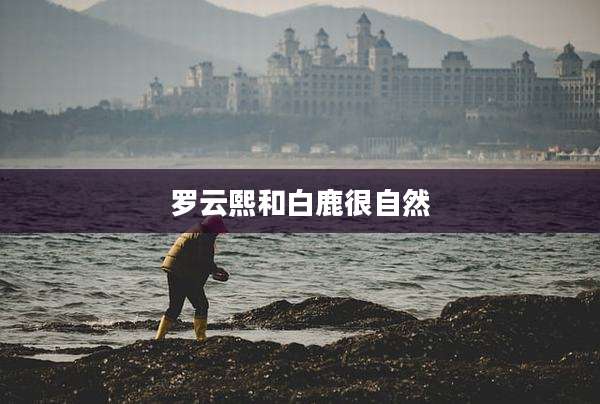 罗云熙和白鹿很自然