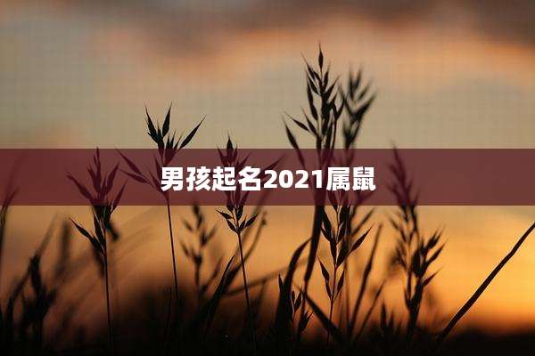 男孩起名2021属鼠
