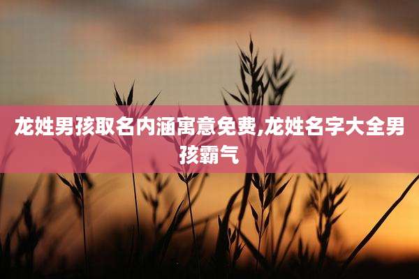 龙姓男孩取名内涵寓意免费,龙姓名字大全男孩霸气