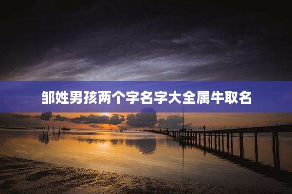 邹姓男孩两个字名字大全属牛取名
