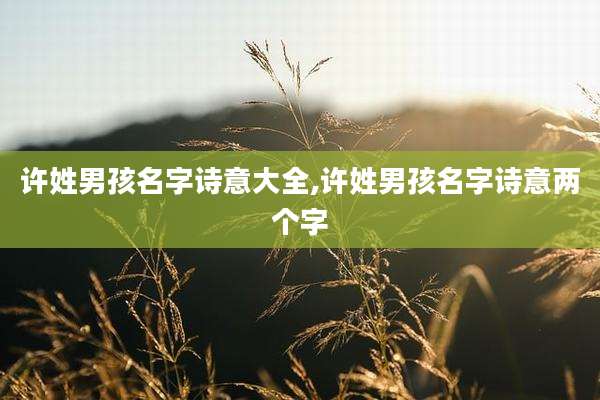 许姓男孩名字诗意大全,许姓男孩名字诗意两个字