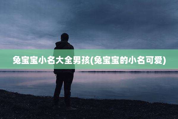 兔宝宝小名大全男孩(兔宝宝的小名可爱)