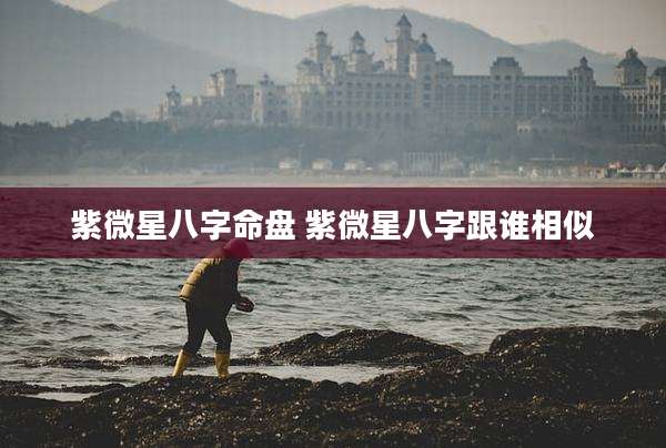 紫微星八字命盘 紫微星八字跟谁相似