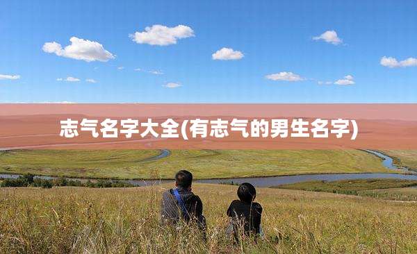 志气名字大全(有志气的男生名字)