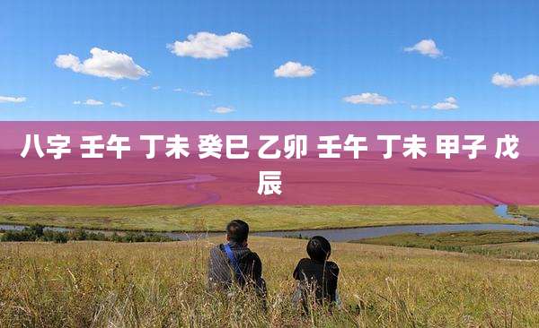 八字 壬午 丁未 癸巳 乙卯 壬午 丁未 甲子 戊辰