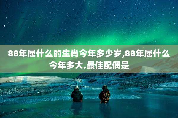 88年属什么的生肖今年多少岁,88年属什么今年多大,最佳配偶是