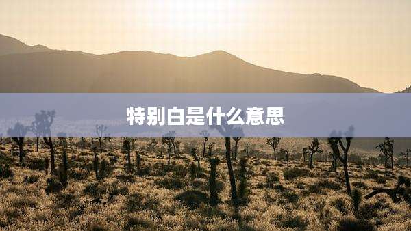 特别白是什么意思