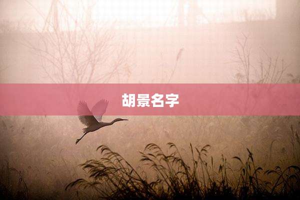 胡景名字