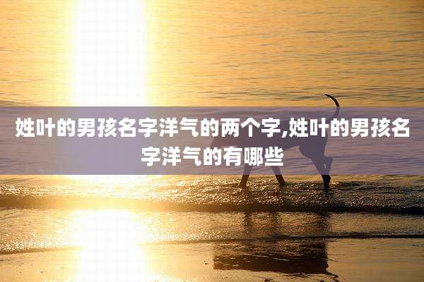 姓叶的男孩名字洋气的两个字,姓叶的男孩名字洋气的有哪些