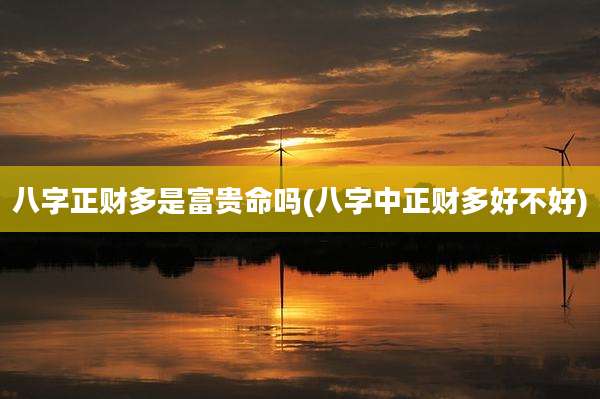 八字正财多是富贵命吗(八字中正财多好不好)