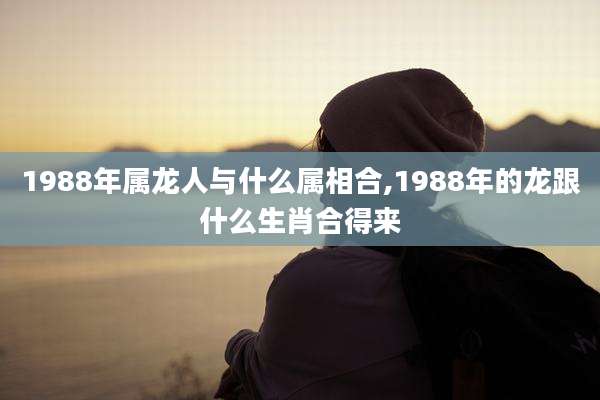 1988年属龙人与什么属相合,1988年的龙跟什么生肖合得来