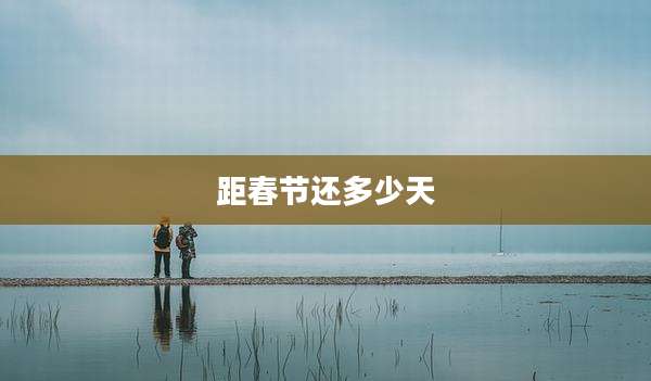 距春节还多少天