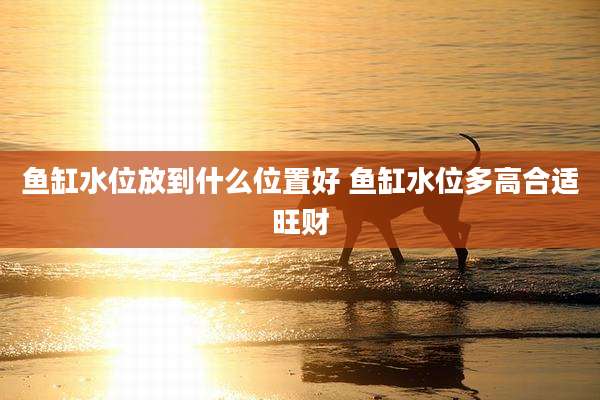 鱼缸水位放到什么位置好 鱼缸水位多高合适旺财