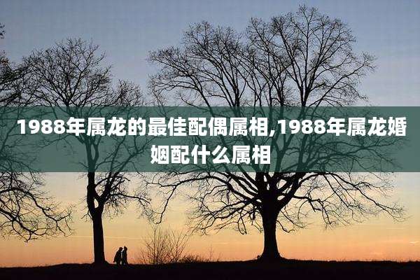 1988年属龙的最佳配偶属相,1988年属龙婚姻配什么属相