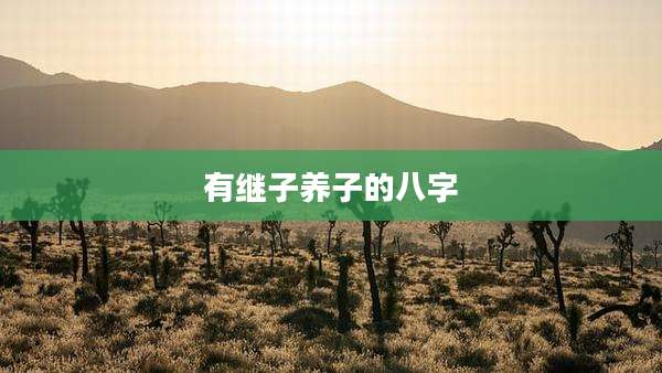 有继子养子的八字