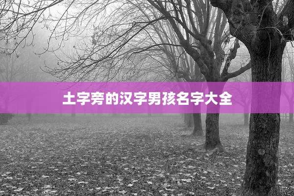 土字旁的汉字男孩名字大全
