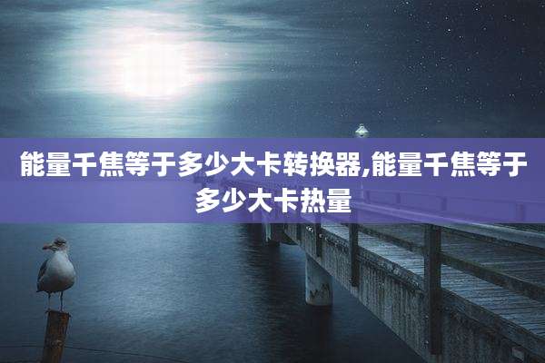 能量千焦等于多少大卡转换器,能量千焦等于多少大卡热量
