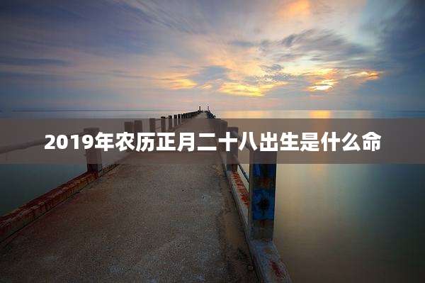 2019年农历正月二十八出生是什么命