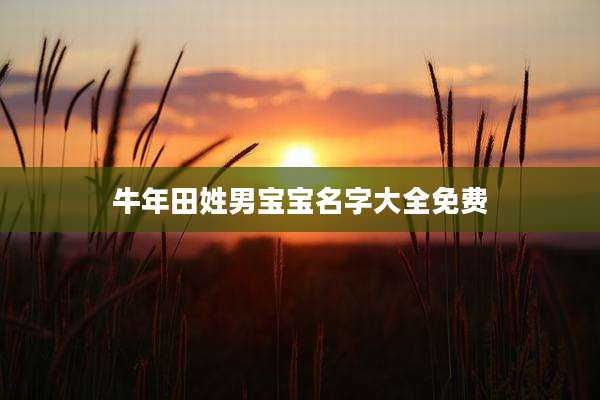 牛年田姓男宝宝名字大全免费
