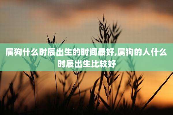 属狗什么时辰出生的时间最好,属狗的人什么时辰出生比较好