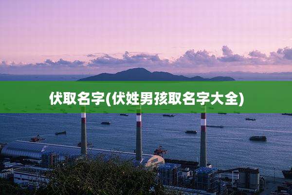 伏取名字(伏姓男孩取名字大全)