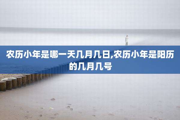 农历小年是哪一天几月几日,农历小年是阳历的几月几号