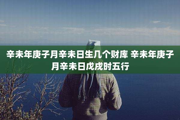 辛未年庚子月辛未日生几个财库 辛未年庚子月辛未日戊戌时五行