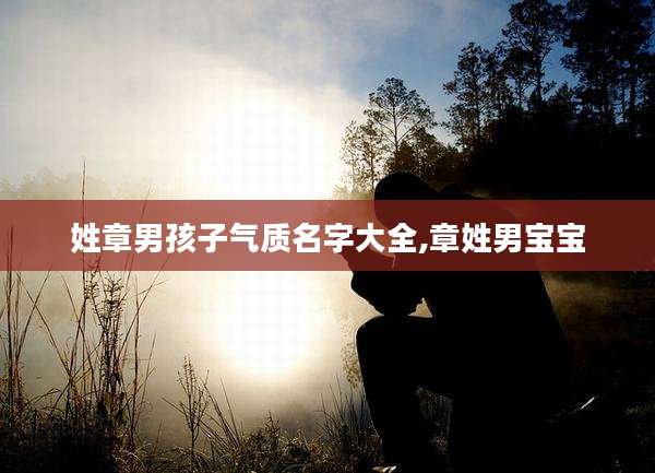 姓章男孩子气质名字大全,章姓男宝宝